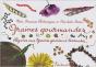 Graines Gourmandes - Preview