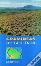 Gramineas De Bolivia