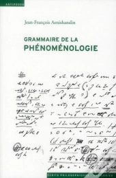 Grammaire De La Phénoménologie