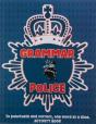 Grammar Police Activity Book - To Serve & Correct - Preview