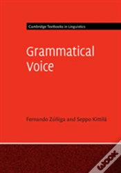 Capa do artigo Grammatical Voice