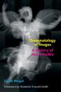 Grammatology Of Images - Preview
