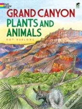 Grand Canyon Plants And Animals