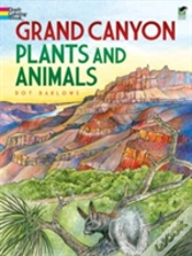 Capa do artigo Grand Canyon Plants And Animals