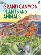 Grand Canyon Plants And Animals