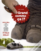 Capa do artigo Grand Comme Ça !?
