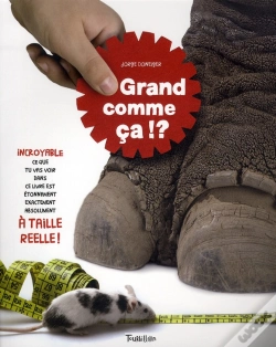 Capa do artigo Grand Comme Ça !?