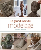 Capa do artigo Grand Livre Du Modelage