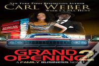 Grand Opening 2