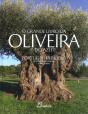 Grande Livro Da Oliveira E Do Azeite - Preview