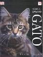 Grande Livro do Gato - Preview
