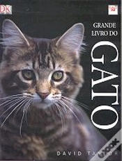 Capa do artigo Grande Livro do Gato