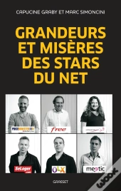 Grandeurs Et Misères Des Stars Du Net