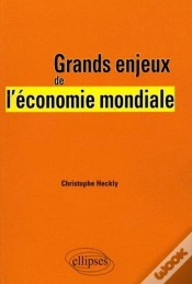 Capa do artigo Grands Enjeux De L