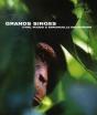 Grands Singes - Preview
