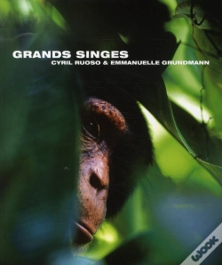 Capa do artigo Grands Singes