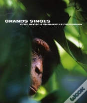 Capa do artigo Grands Singes