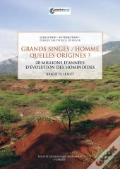 Grands Singes / Hommes, Quelles Origines ? ; 20 Millions D'Années D'Évolution Des Hominoïdes
