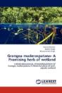 Grangea Maderaspatana- A Promising Herb Of Wetland - Preview