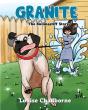 Granite - Preview