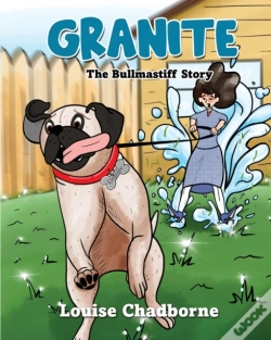 Capa do artigo Granite