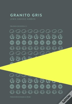 Capa do artigo Granito Gris
