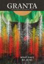 Granta 133 - Preview