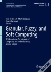 Capa do artigo Granular, Fuzzy, And Soft Computing