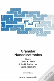 Capa do artigo Granular Nanoelectronics