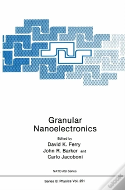 Capa do artigo Granular Nanoelectronics