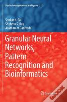 Granular Neural Networks, Pattern Recognition And Bioinformatics