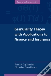 Granularity Theory With Applications To Finance And Insurance