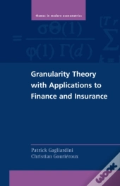 Granularity Theory With Applications To Finance And Insurance
