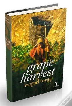Capa do artigo Grape Harvest