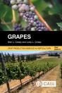 Grapes - Preview