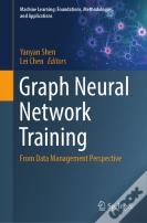 Graph Neural Network Training