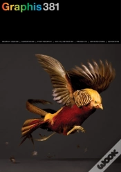 Capa do artigo Graphis Journal Magazine 381