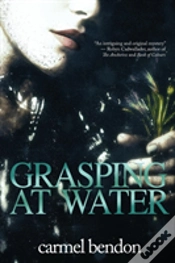 Capa do artigo Grasping At Water