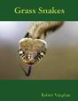 Grass Snakes - Preview