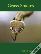 Grass Snakes