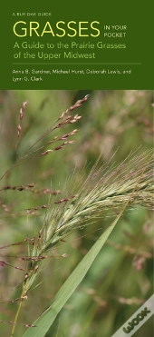 Grasses In Your Pocket