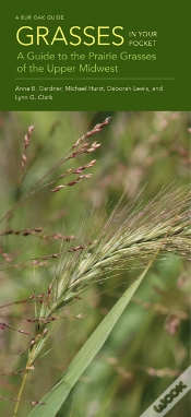 Capa do artigo Grasses In Your Pocket