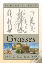 Grasses Of Colorado