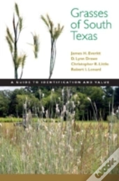 Grasses Of South Texas