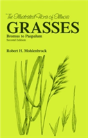 Grasses - Preview