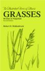 Grasses - Preview