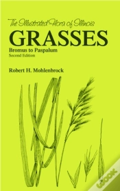 Capa do artigo Grasses
