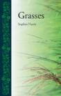 Grasses - Preview