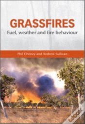 Capa do artigo Grassfires