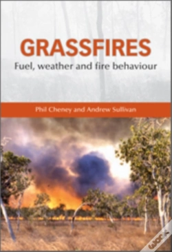 Capa do artigo Grassfires